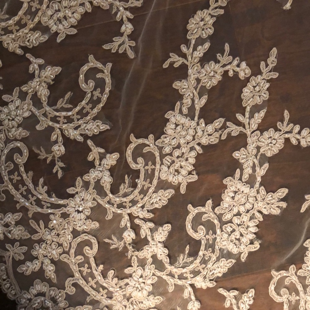 Maggie Sottero Couture wedding gown Sz 10 - Picture 8 of 13